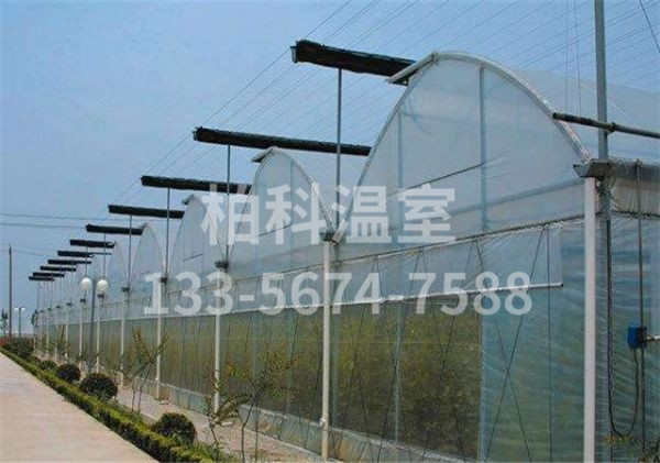 small4_16354028716460310