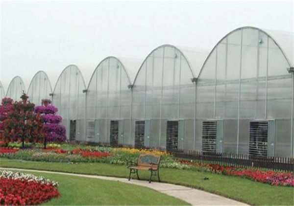 山東連棟薄膜大棚建設(shè)廠家