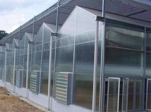 山東溫室大棚廠家