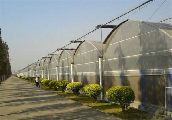 山東連棟薄膜大棚建設廠家