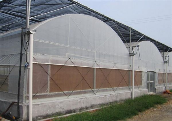 山東連棟薄膜大棚建設廠家