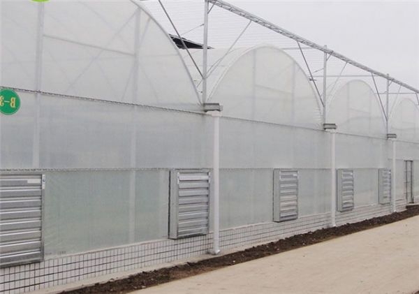 山東連棟薄膜大棚建設廠家