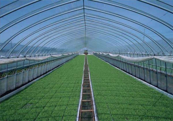 山東智能溫室大棚廠家