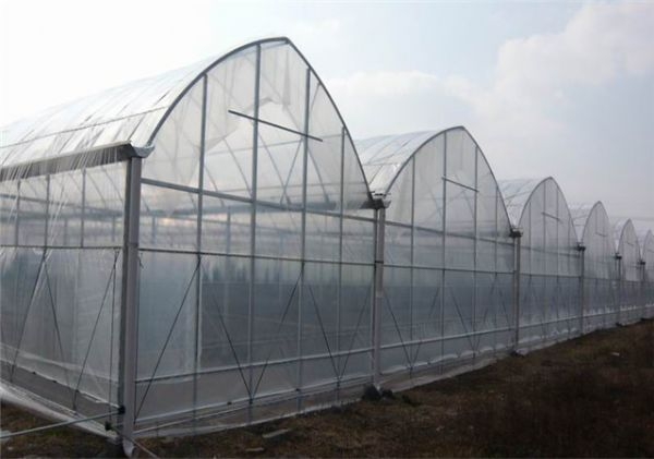 山東溫室大棚廠家