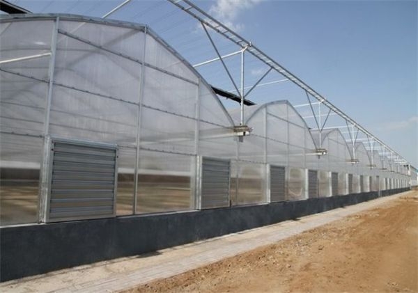 山東溫室大棚廠家