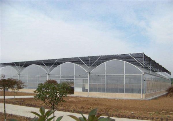 山東連棟薄膜大棚建設廠家