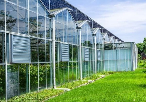 山東智能溫室大棚廠家