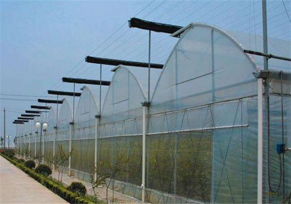 山東溫室大棚廠家