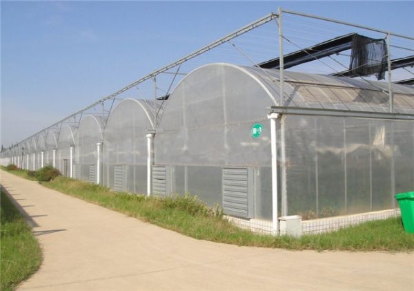 山東溫室大棚廠家