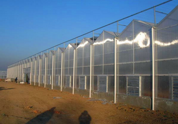 山東溫室大棚廠家