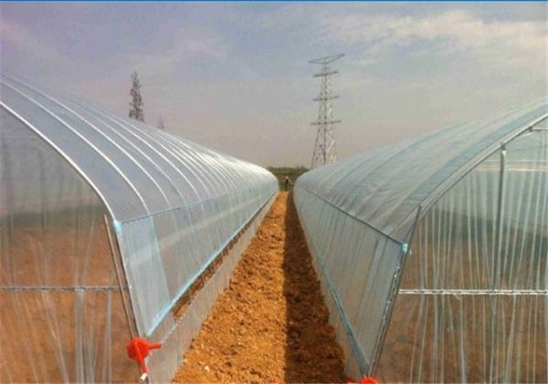 山東溫室大棚廠家