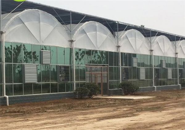 蔬菜溫室大棚是如何進行日常維護的